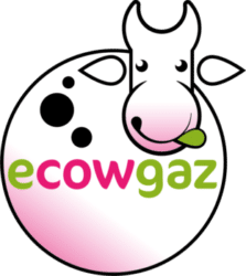 Logo Ecowgaz